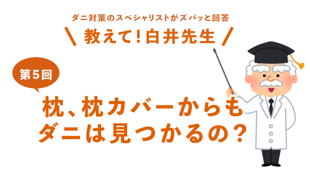 第5回枕、枕カバーからもダニは見つかるの？